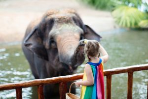 動物好きにおすすめ！animal-〇〇なアメリカのzoo