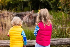 動物好きにおすすめ！animal-〇〇なアメリカのzoo