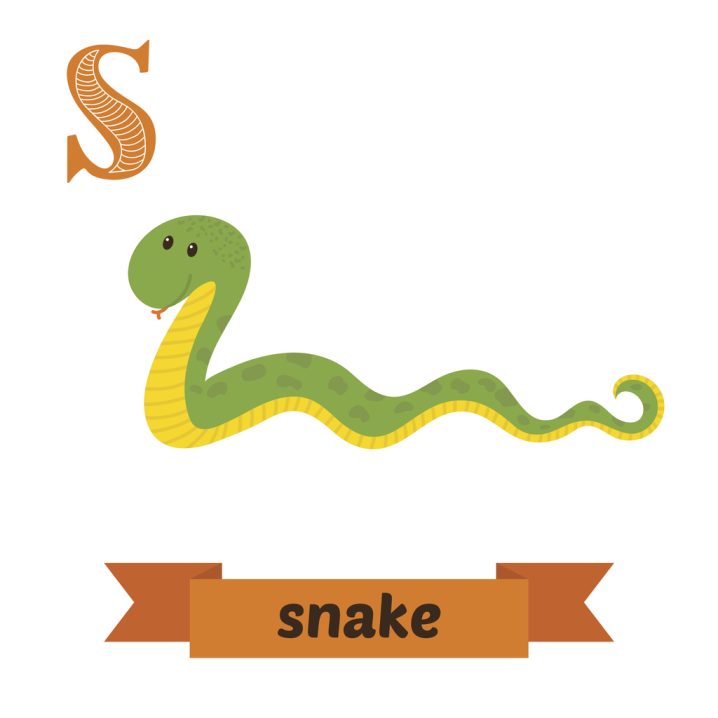 Simon先生の英語ブログで学ぶ使える英語表現ーA snake in the grass「油断ならない人」