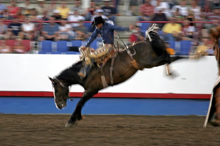 【海外ドラマから学ぶイディオム】"It's not my first rodeo." この意味分かりますか？