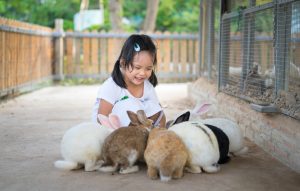 Simon先生の英語ブログで学ぶ使える英語表現 - On Safari with Animal Idioms