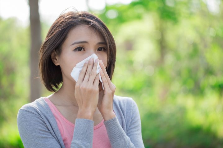 英語 花粉 症 英語で表現する「花粉症」、私は花粉症なんですと伝える英語表現