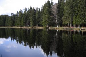 【ドイツ留学体験記！】僕が住んでいたTitisee（ティティぜー）村