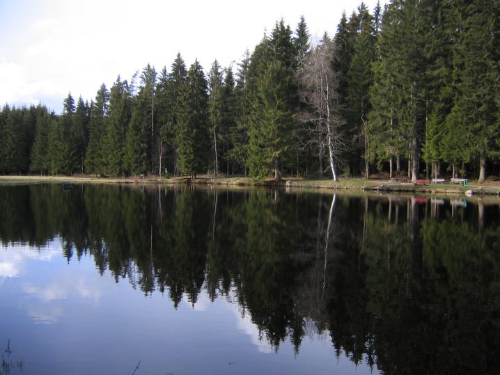 【ドイツ留学体験記！】僕が住んでいたTitisee（ティティぜー）村