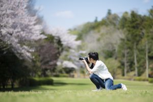 【翻訳家の暮らし】写真という格闘技：No pain, No gain!～後編