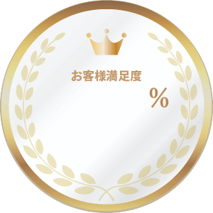 qlx95.1%